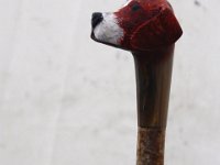 13-Alw16  Beagle headed walking stick