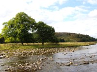 5-Alw16  The trial field is on the bank of the River Coquet