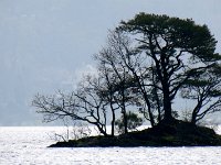 17DerwentwaterIslet