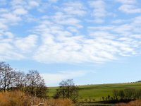 5Sharperton-Coquet