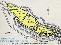 BambMapHugilltint