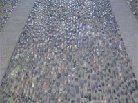IMG 2551pebblesU