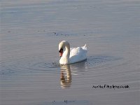 Bigwaters1