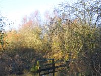 2Bwaters  The dipping pool