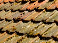 cb24  Old terracotta tiles.