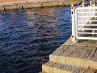 6Jan17Roker  An interesting "carpet" down the steps at Roker marina.