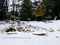 StormDamage-FitzPark