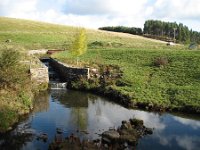 16ww  Watercourse on the Lisle Burn at Linnheads