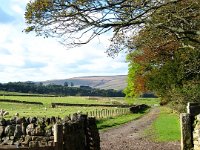25ww  Leaving Whetstone House on the narrow track to East Woodburn