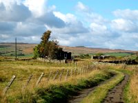 27ww  The track meanders toward East Woodburn