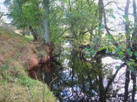 6ww  A shady pool on the Lisle Burn