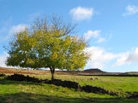7ww  East of Chairford Bridge